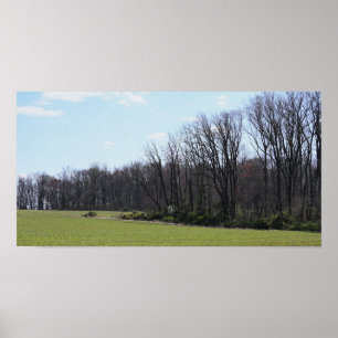 Landscape Photo Poster