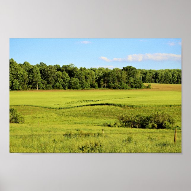 Landscape Photo Poster (Front)