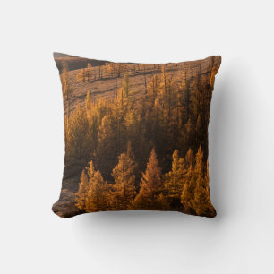 LANDSCAPE PHOTOGRAPHY OF BROWN-LEAFED TREES THROW PILLOW