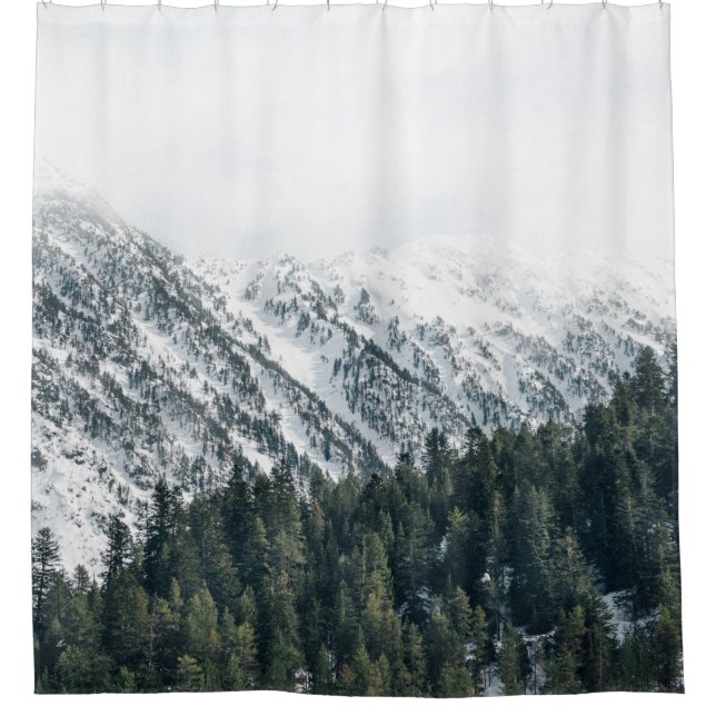 LANDSCAPE PHOTOGRAPHY OF TREES (Front)