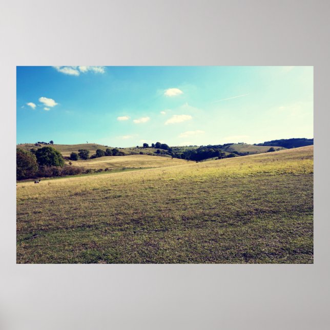Landscape Poster (Front)