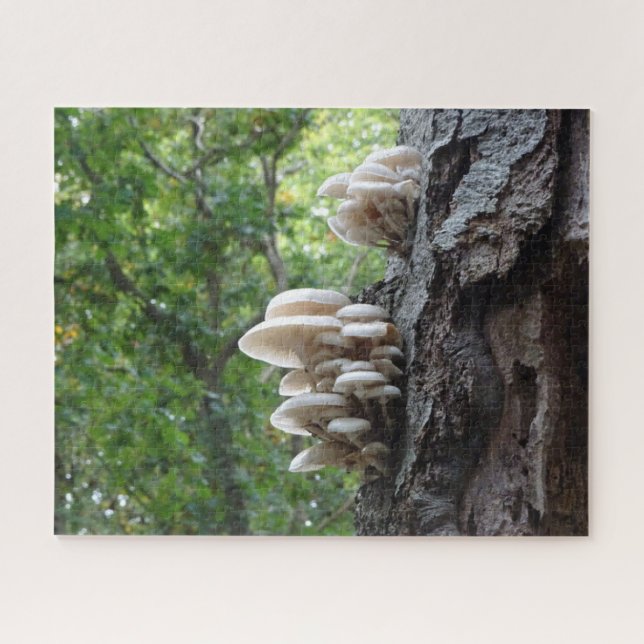 Landscape Puzzle: Beautiful Porcelain Mushrooms Jigsaw Puzzle (Horizontal)