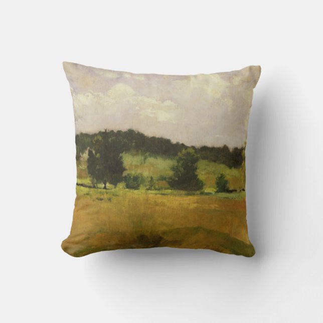 Landscape Study Throw Pillow (Front)