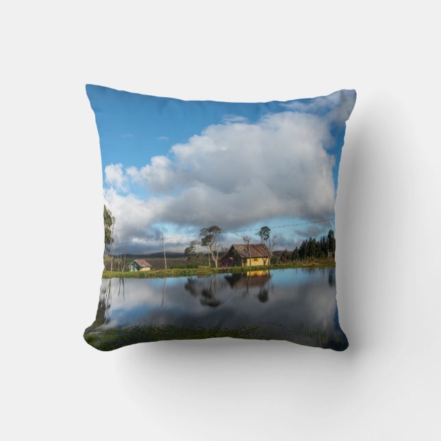 Landscape Throw Pillow (Front)