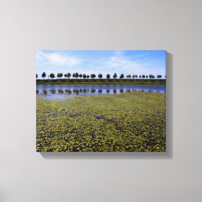 Landscape Waterscape Canvas Print (Front)