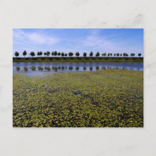 Landscape Waterscape Postcard