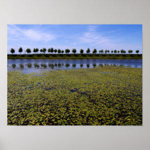 Landscape Waterscape Poster