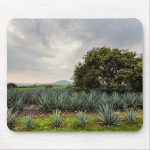Landscape With Blue Agave Mouse Pad