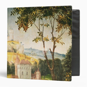 Landscape with castle in a moat and two swans binder