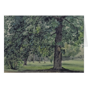 Landscape with Chestnut Tree in the Foreground