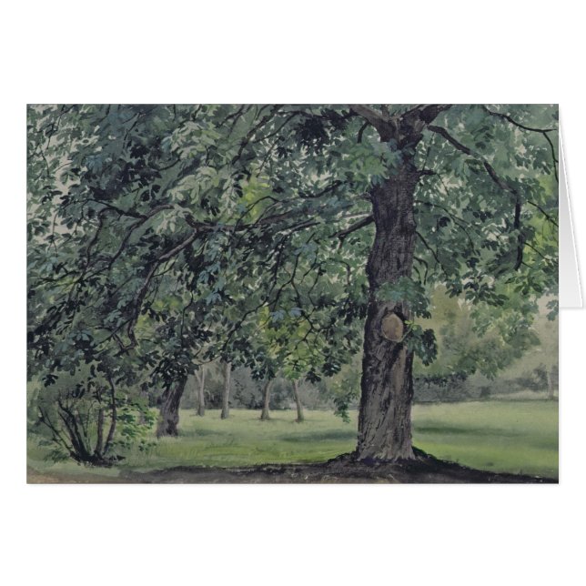 Landscape with Chestnut Tree in the Foreground (Front Horizontal)