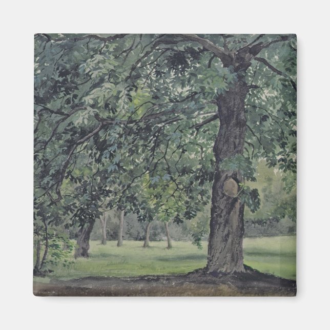 Landscape with Chestnut Tree in the Foreground Magnet (Front)