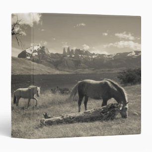 Landscape with horses binder