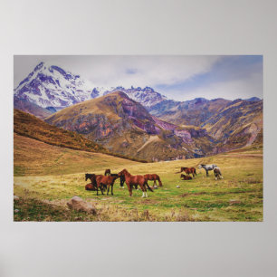 Landscape with horses in Georgian mountains Poster