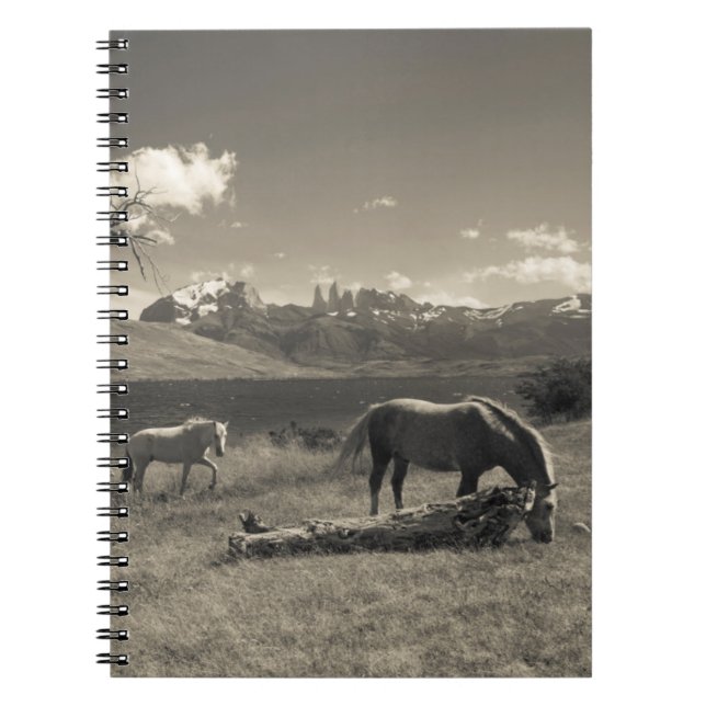 Landscape with horses notebook (Front)