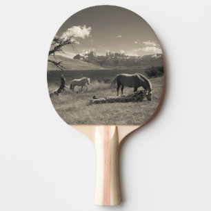 Landscape with horses ping pong paddle