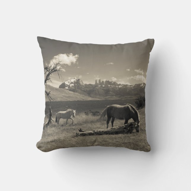 Landscape with horses throw pillow (Front)
