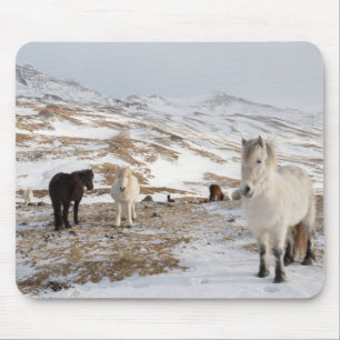 Landscape with Icelandic Horses Mouse Pad