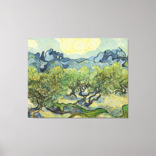 Landscape with Olive Vincent Willem van Gogh  Canvas Print