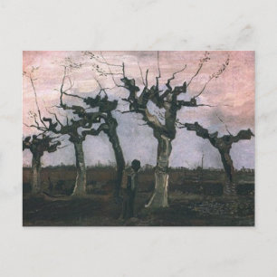 Landscape with Pollard Willows Postcard