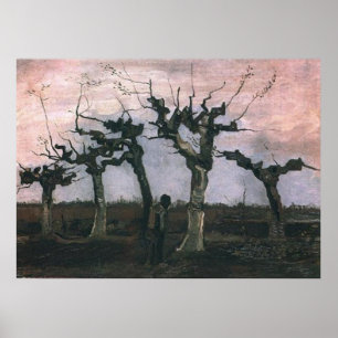 Landscape with Pollard Willows Vincent van Gogh Poster