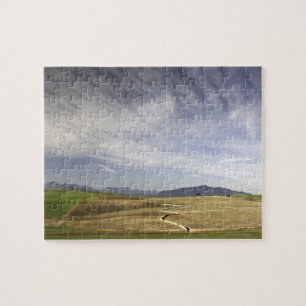 Landscape with wheat fields, Grabouw, Western Jigsaw Puzzle