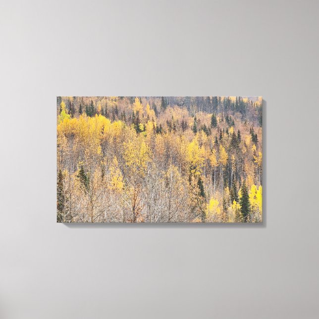 Landscape Yellow Orange Alaska Autumn Canvas Print (Front)