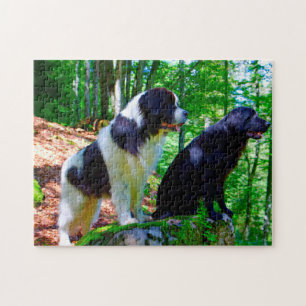 Landseer Dog. Jigsaw Puzzle