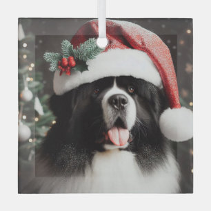 Landseer Newf in a Sparkly Santa Hat Glass Ornament