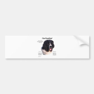 Landseer Newfoundland History; I love Newfies Bumper Sticker