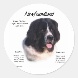 Landseer Newfoundland History; I love Newfies Classic Round Sticker