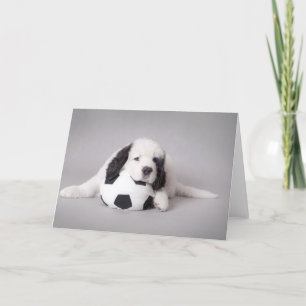 Landseer puppy card