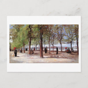 Lane at the Jardin du Luxembourg, Vincent van Gogh Postcard