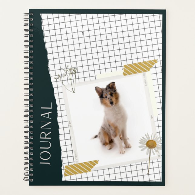 Langhaar Collie Planner (Front)