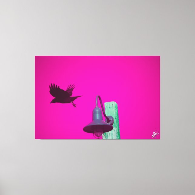 Langley Crow on Light Post Series #12 Canvas Print (Front)