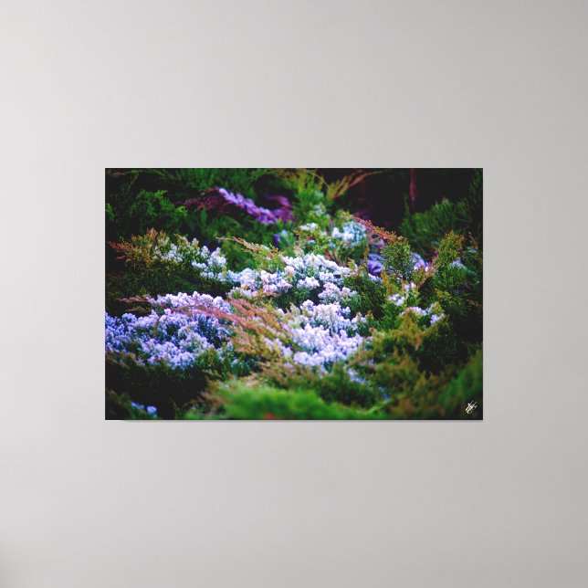 Langley waterfront #5 canvas print (Front)