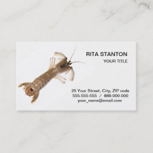 Langoustine Business Card