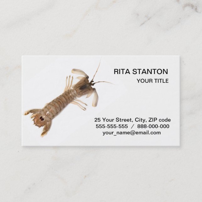 Langoustine Business Card (Front)