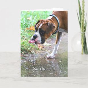 Langue de chien de boîte sotte Sticking Out Carte 