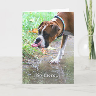 Langue de chien de boîte sotte Sticking Out Carte 