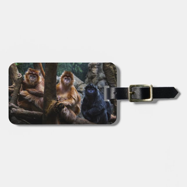 Langur Monkey Luggage Tag (Front Horizontal)