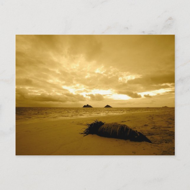 Lanikai Sunrise postcard (Front)