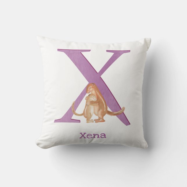 L'animal ABC X est destiné au coussin xerus (Recto)