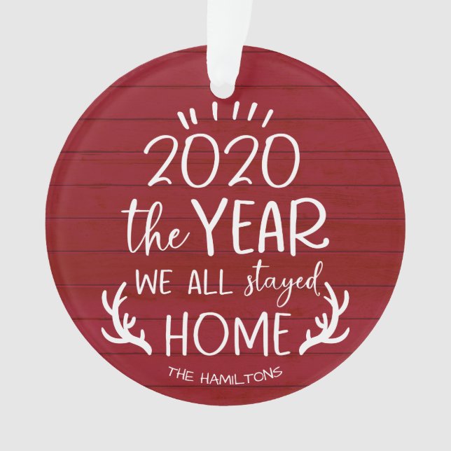 L'Année où nous sommes restés à la maison 2020 Cov (devant)