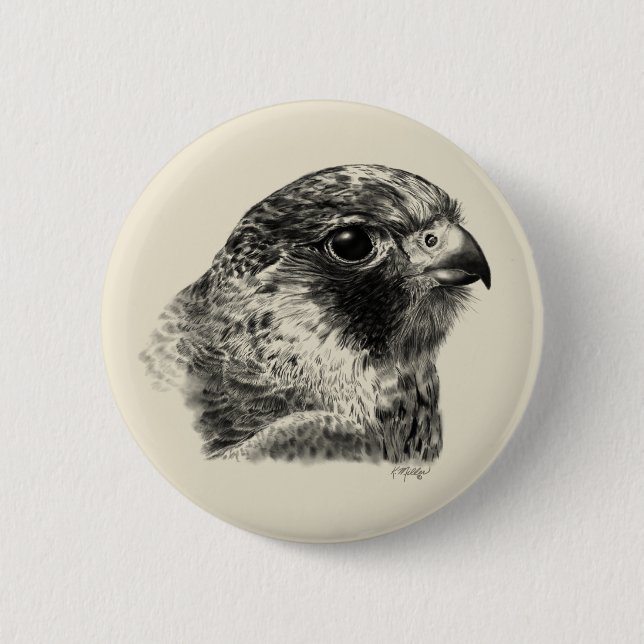 Lanner Falcon Drawing 2 Inch Round Button (Front)