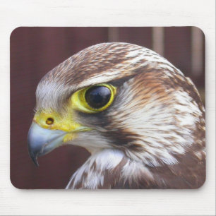 Lanner Falcon Mouse Pad