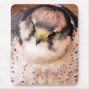 LANNER FALCON MOUSE PAD