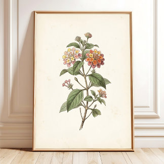 Lantana Botanical Cottagecore Print