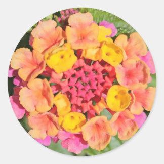 Lantana Flower Classic Round Sticker