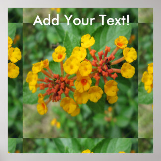 Lantana Garden Flower Yellow Poster